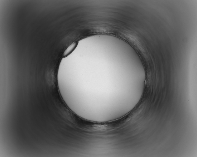 X0000089340457200707131515
