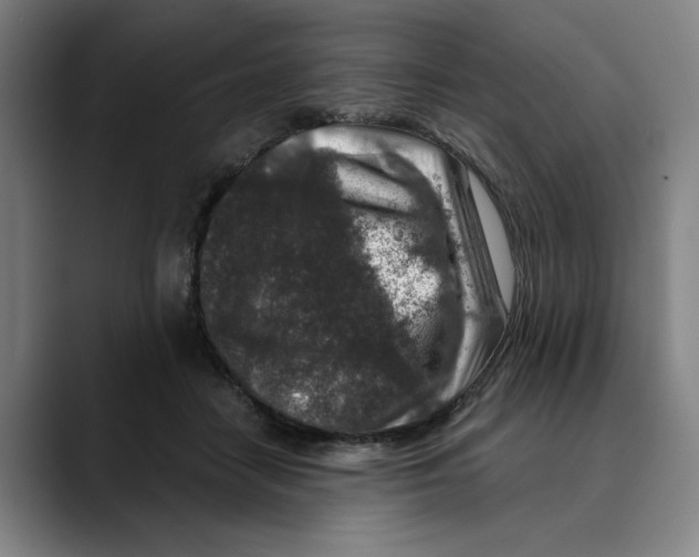 X0000089340458200707131515