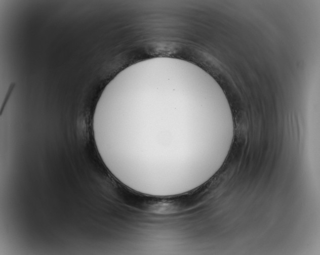 X0000089340460200707131515