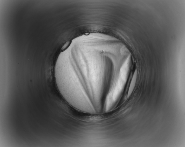X0000089340462200707131515