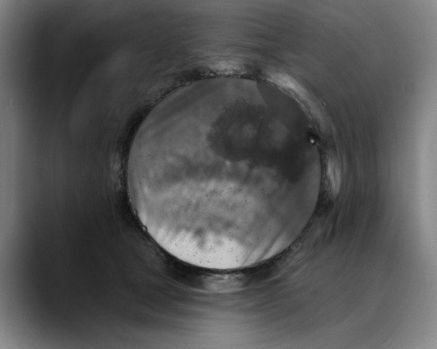 X0000089340465200707131515