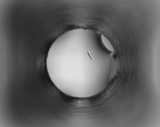 X0000089340466200707131515