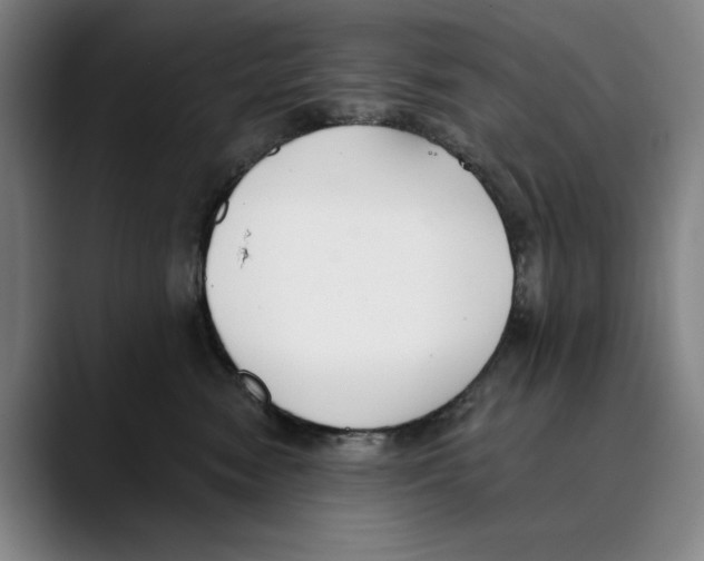 X0000089340474200707131515