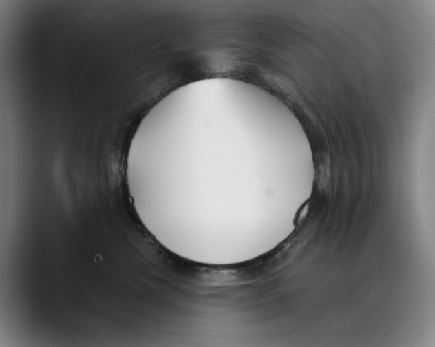 X0000089340476200707131515