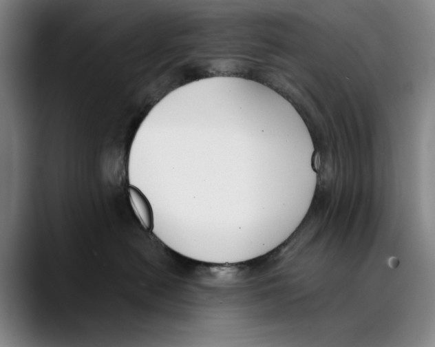X0000089340478200707131515