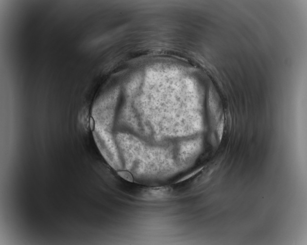 X0000089340479200707131515