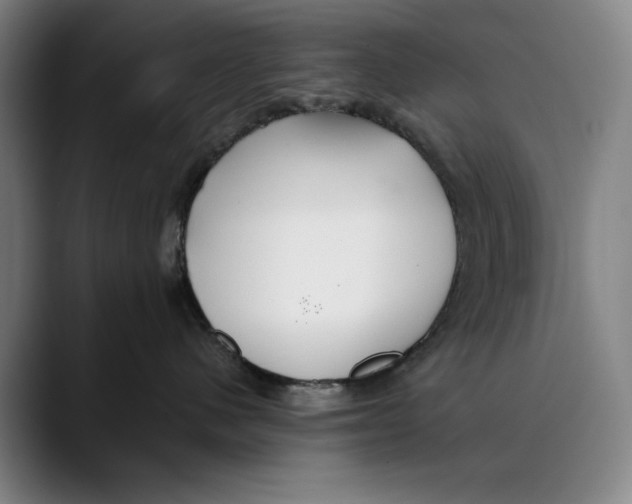 X0000089340480200707131515