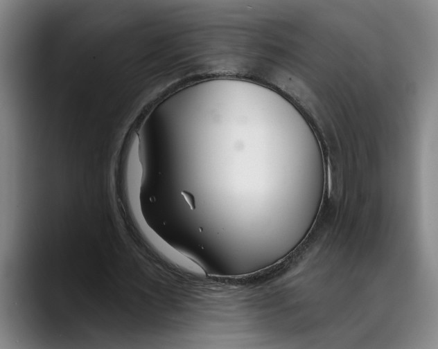 X0000089340483200707131515