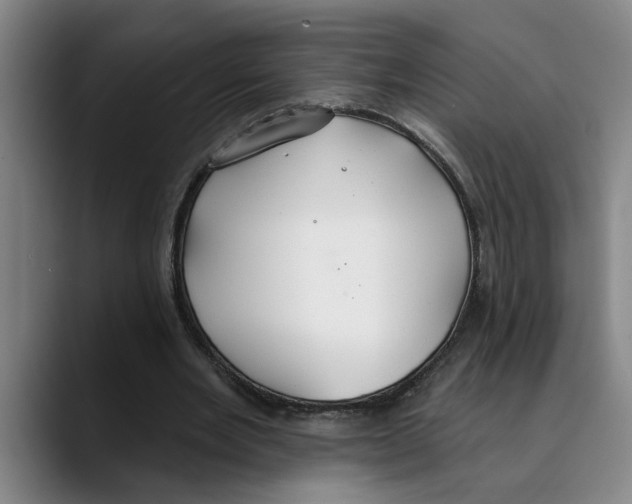 X0000089340485200707131515