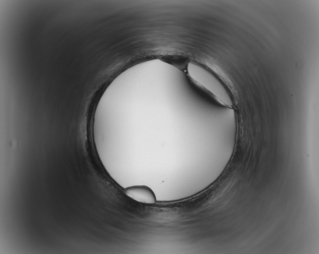 X0000089340486200707131515