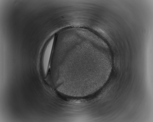 X0000089340488200707131515