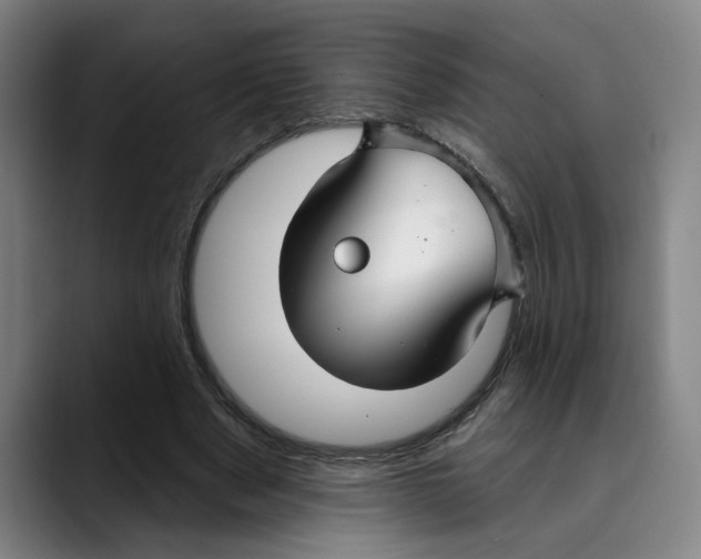 X0000089340489200707131515