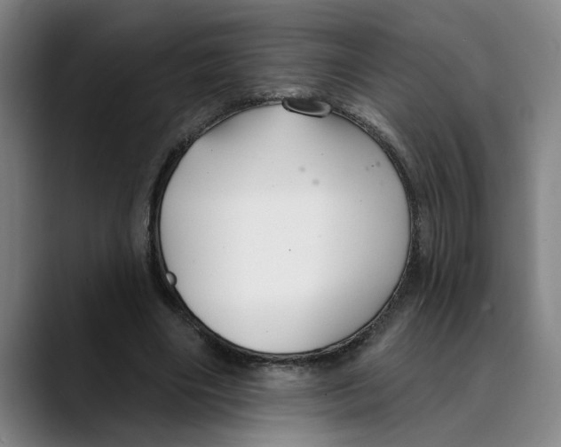 X0000089340490200707131515
