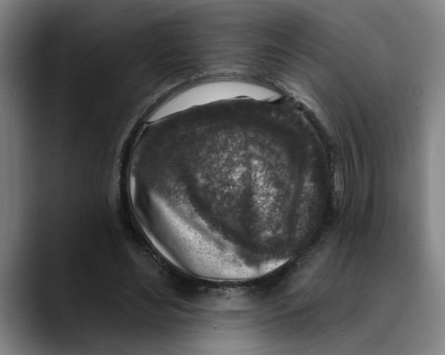 X0000089340492200707131515