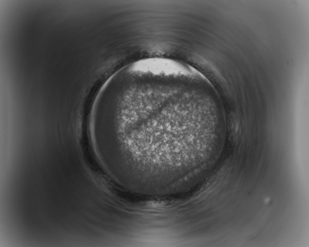 X0000089340496200707131515