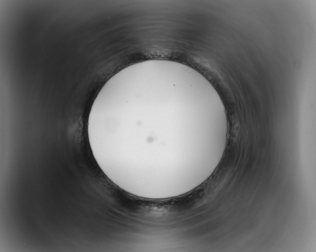X0000089340498200707131515