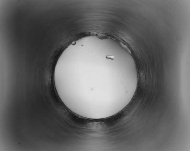 X0000089340499200707131515