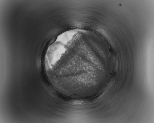 X0000089340500200707131515