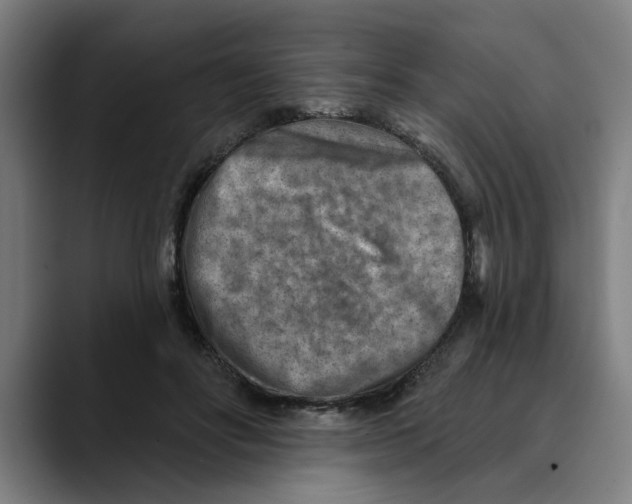 X0000089340502200707131515