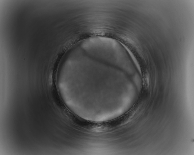 X0000089340504200707131515
