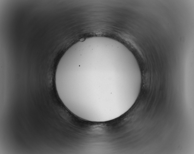 X0000089340505200707131515