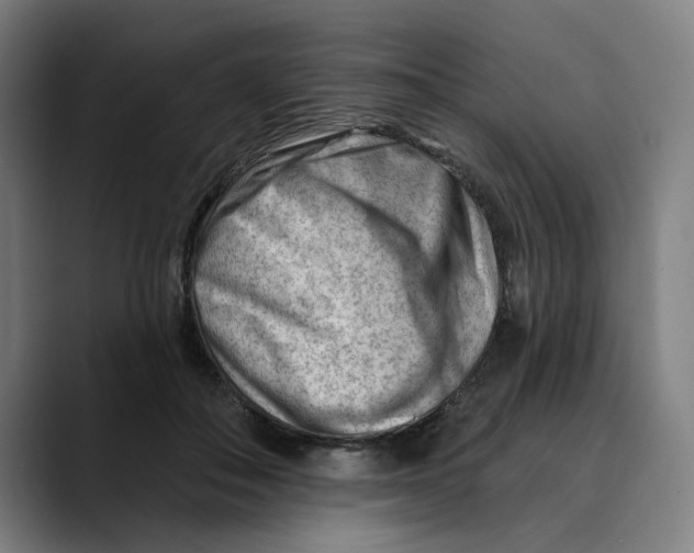 X0000089340506200707131515