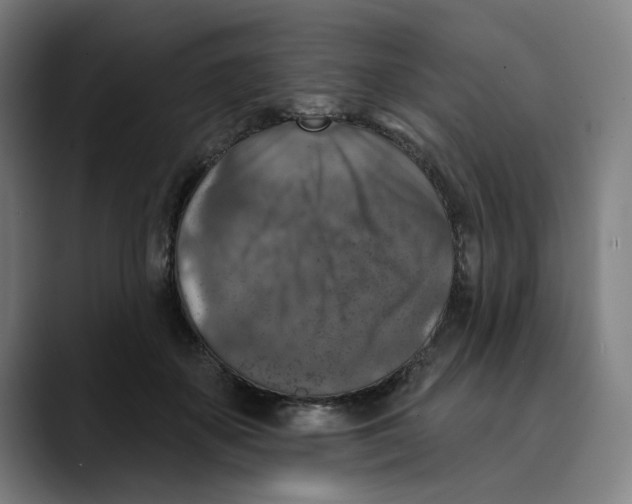 X0000089340507200707131515