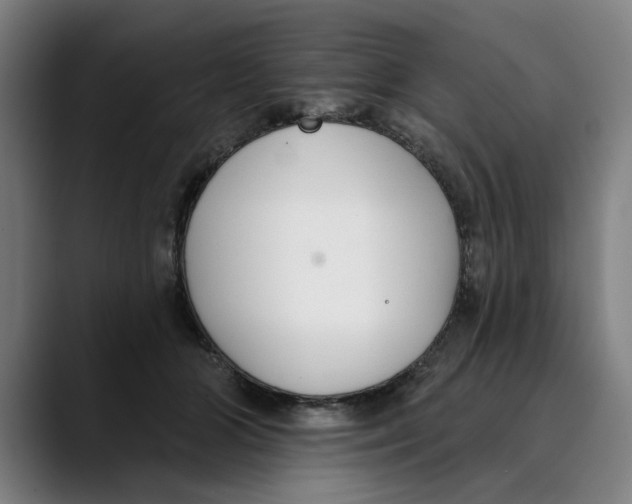 X0000089340510200707131514