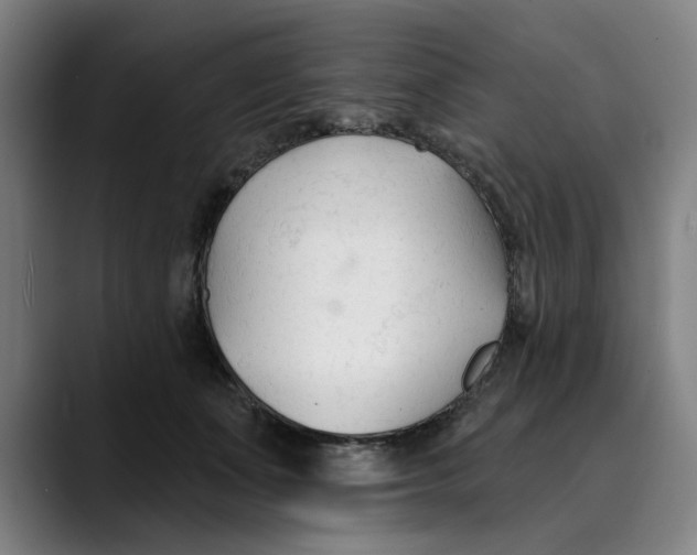 X0000089340511200707131514