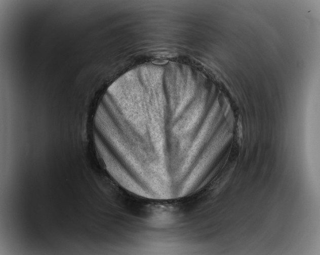 X0000089340512200707131514