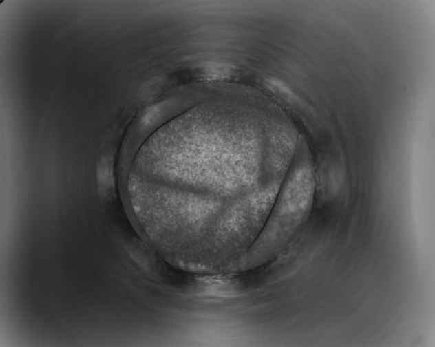 X0000089340516200707131514