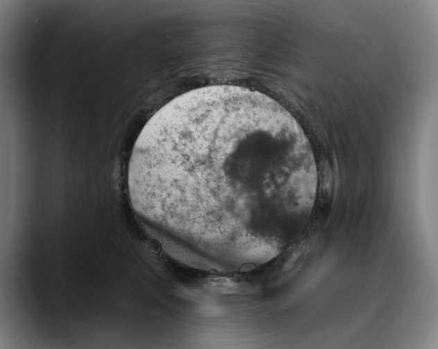 X0000089340519200707131514