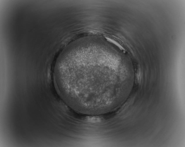 X0000089340520200707131514