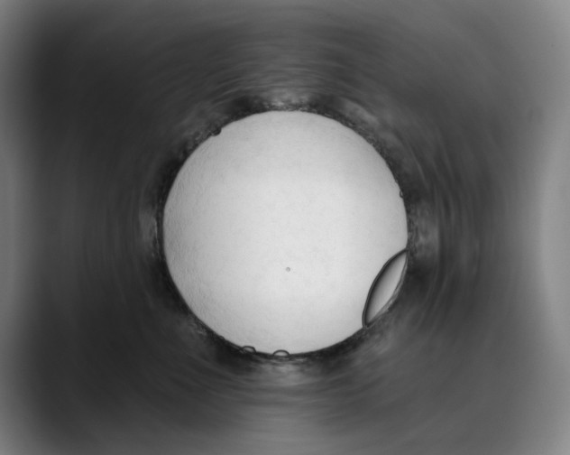 X0000089340523200707131514
