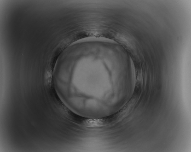 X0000089340526200707131514