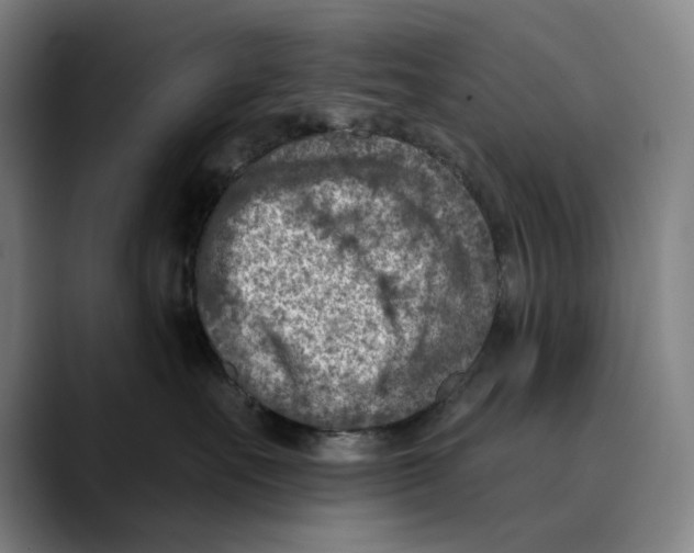 X0000089340527200707131514