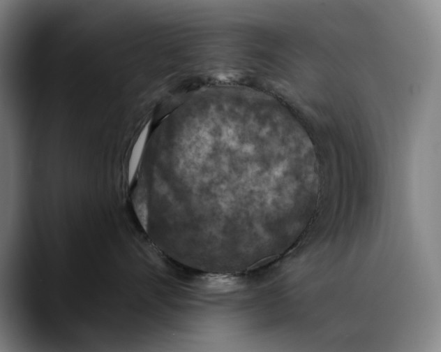 X0000089340528200707131514
