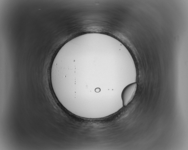 X0000089340529200707131514