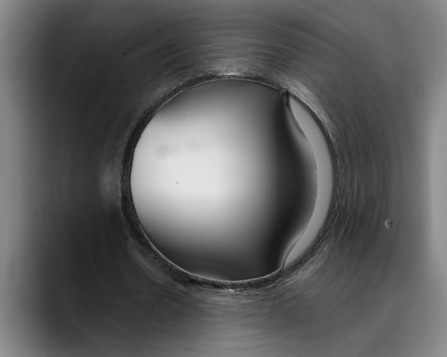 X0000089340530200707131514
