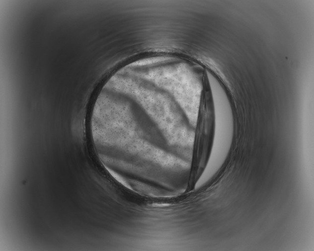 X0000089340531200707131514