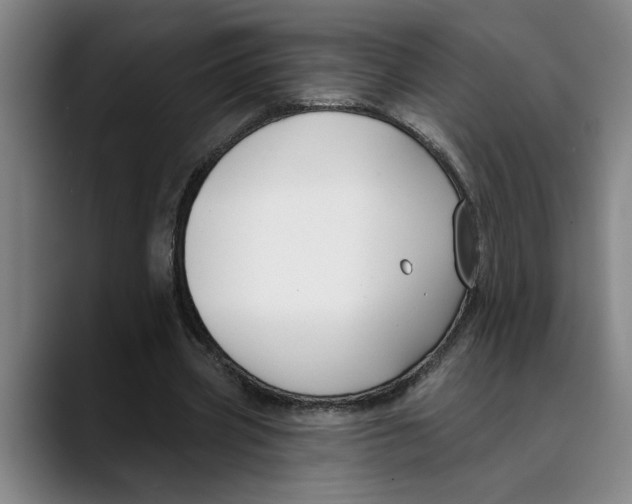 X0000089340533200707131514