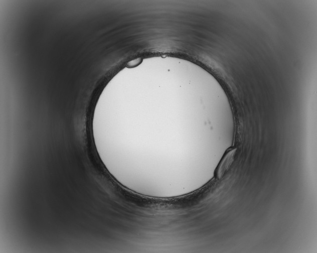 X0000089340535200707131514