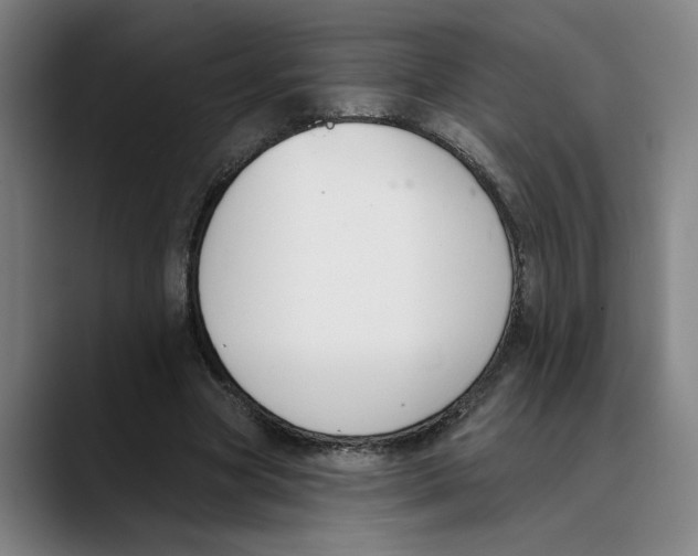 X0000089340537200707131514