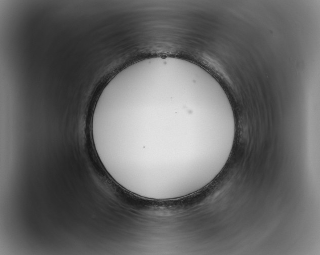 X0000089340538200707131514