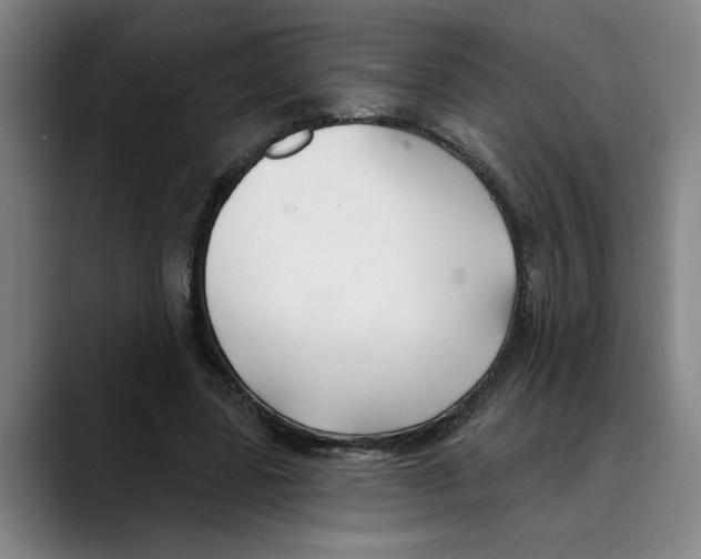 X0000089340539200707131514