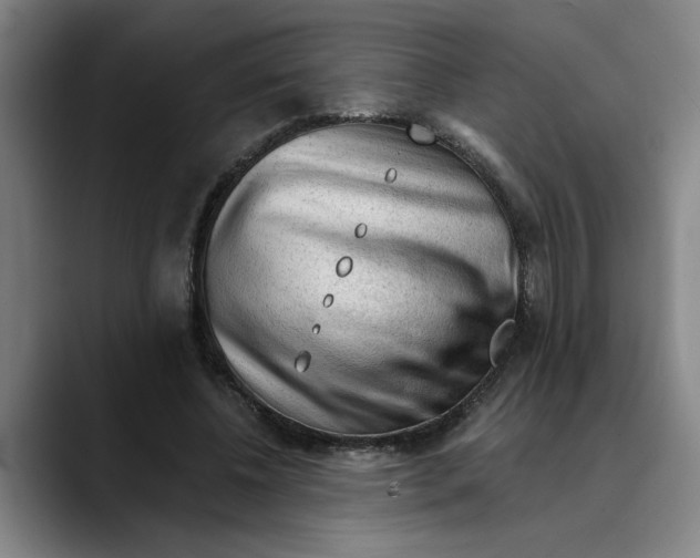 X0000089340540200707131514
