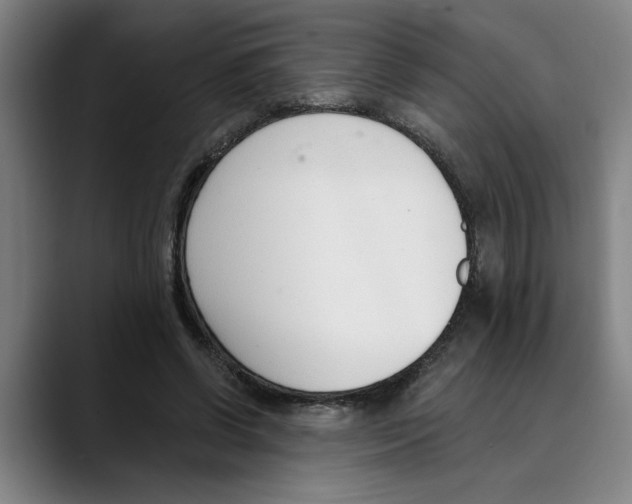 X0000089340542200707131514