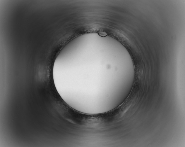 X0000089340546200707131514