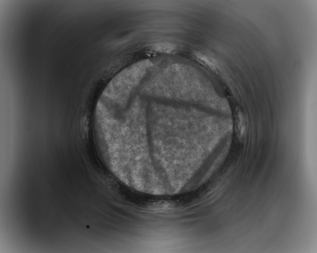 X0000089340551200707131514