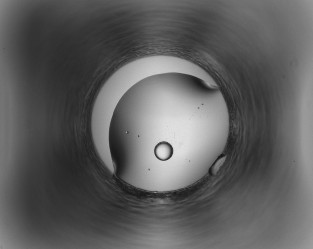 X0000089340552200707131514